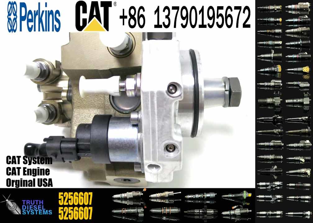 High Pressure Fuel Injection Pump 2643D641 2643D640 2644H032