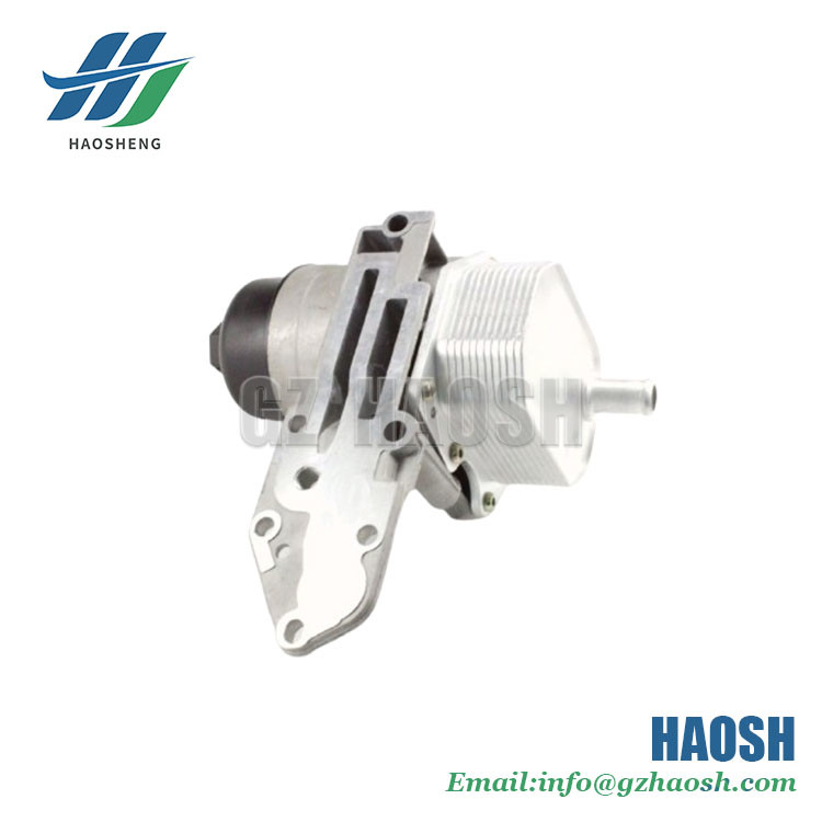 6C1Q-6B624-B1B-N Oil Filter Assy 6C1Q-6B624-B1B 6C1Q 6B624 B1B For Ford Transit V348 4D24