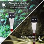 Warm White 1.2volts 12.87'' Waterproof LED Solar Garden Lights