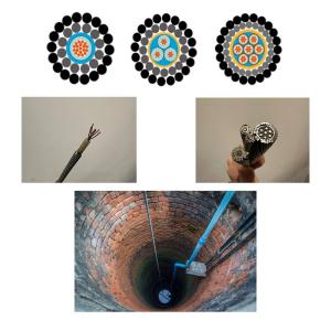 China Strong Geophysical Logging Cable Downhole Logging Oil And Gas factory