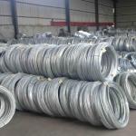 Compact Galvanized Steel Wire Rod 16mm AISI ASTM BS Standard
