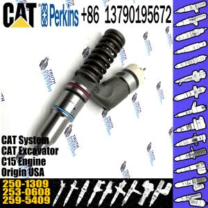 China CAT C15 Engine Caterpillar Fuel Injector 10R-3258 250-1309 Origional Standard factory