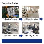 Disposable freezing safe PET PP heat sealing Plastic frozen food meat packaging