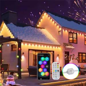 China Landscape Point Pixel Led Light Rgb Outdoor Holiday Decoration 12v Dot Led Permanent Christmas Light factory