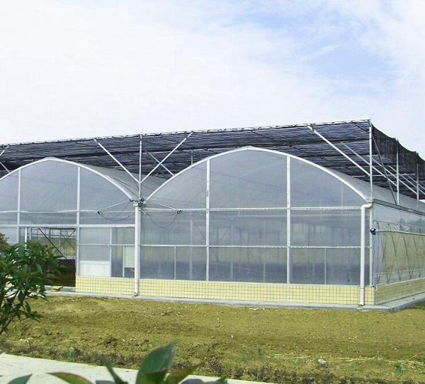 Durable Multi Span Greenhouse Arched Roof Plastic Film Cover 0.12 / 0.15 / 0