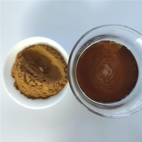 Water Soluble Cinnamon Extract Powder In Bulk
