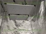 Quantum Board 240Watt Tent 2x2 Led Grow Light