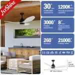 48-inch ABS Blades Ceiling Fan with 6 Speeds Remote Control Without Light Fancy