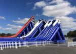 Huge Shark Inflatable Slide With PVC Material / Blow Up Water Slide