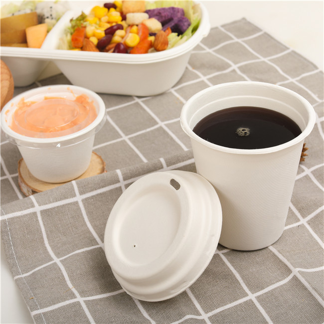 Bagasse Molded Pulp Leakproof 8oz 250ml Biodegradable Cups And Lids