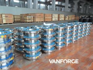 China Raised Face Stainless Steel Weld Neck Flange 300LBS For Petrochemical factory
