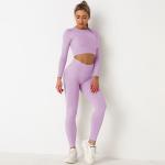 Purple Seamless Yoga Set Clothes Running High Waist Ribbed Long Sleeve Top
