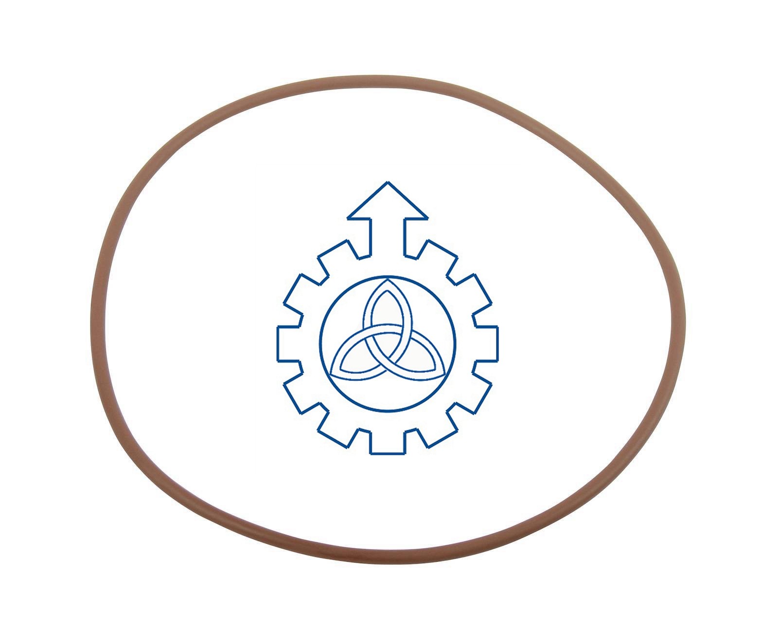 O-ring 17292281