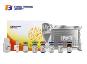 China Sandwich Human ELISA Kit ABCA1 Immunoassays Test With 2 Hours Assay Time factory