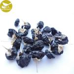 2018 crop organic goji berries wholesale,black goji berry,dried goji, bags in