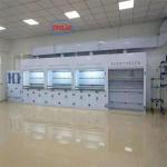 Wall Mounted Chemical Fume Hood Lab Draught Hood with Noise ≤60dB and Installati