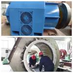 Eco Friendly 50HZ/60HZ Small Hydro Turbine Generator For Low Water Head 5-500m