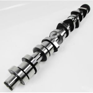 EA390 Engine Camshaft 070109101P 038109309C 038109309A 038109309B for VW