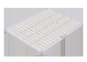 China Rust Proof 4000K IP67 100w Led Grow Light factory