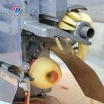 220V Custom Commercial Fruit Peeler , Electric Apple Peeler And Corer Machine