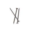 1in Flat Head Diameter Carbon Steel Iron Wire Nails for Wood Furniture Roofing