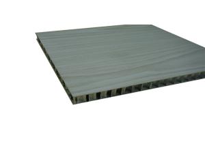 China FS-5890 Antibacterial Board Weather Resistant Antibacterial Wall Paneling factory