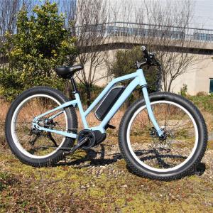 China 1:1 PAS Electric Fat Tire Mountain Bike Light Blue Color 48V 15A Controller factory