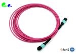 MPO Trunk Cable OM4 24F 3.0mm 50 / 125μm MPO Female MPO Patch Cable LSZH Violet