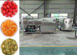 China Air Cooled Freeze Dryer 30~35kg/Batch For Fruit Vegetable Drying factory
