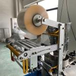50g Granule Packing Machine 304 Stainless 50bags/min Desiccant