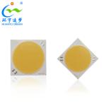 100W 200W 300W 500W LED COB High Power Chip For Photography / Film Lighting