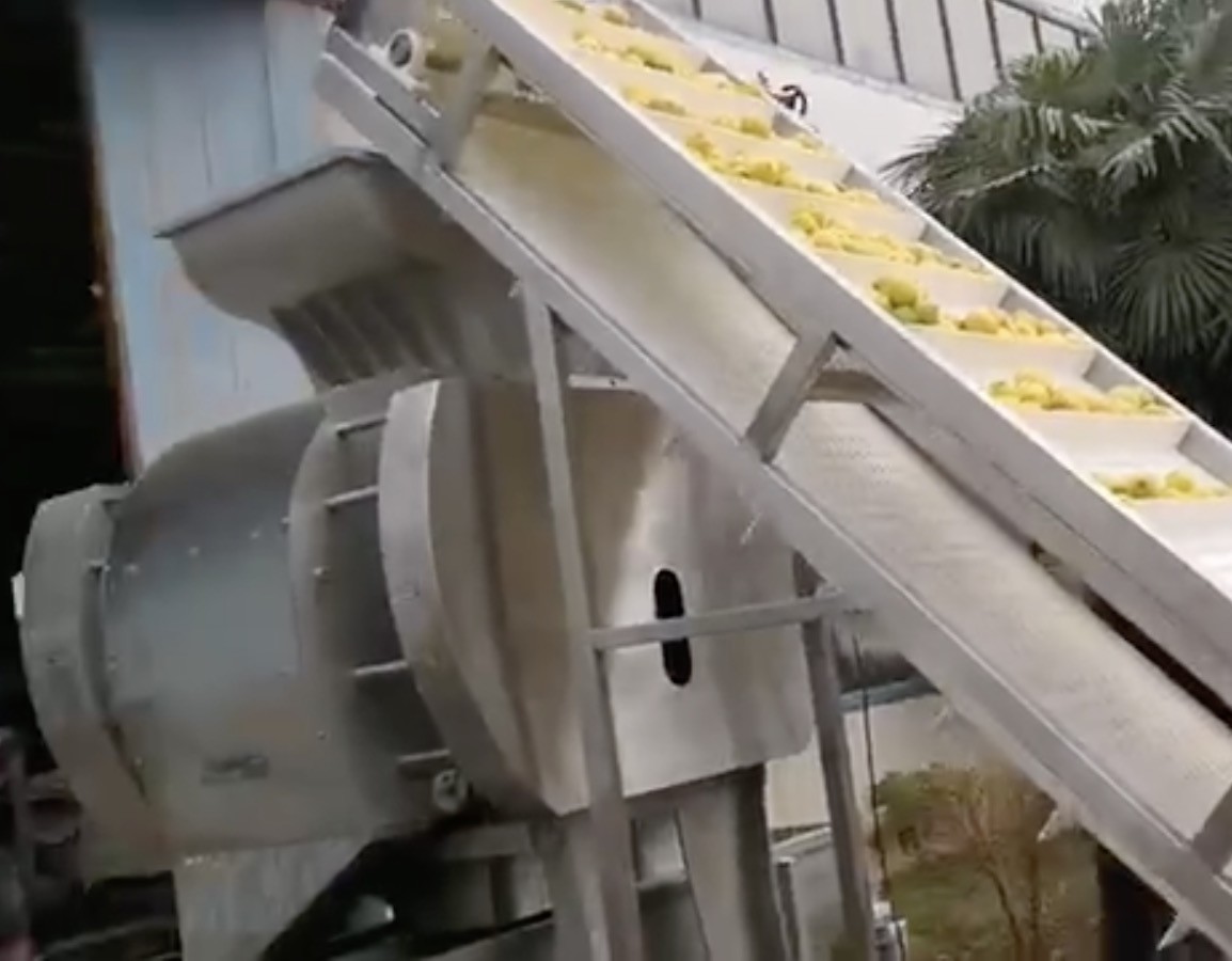 citrus juice extract machine , citrus skin remover, citrus peeler equipment