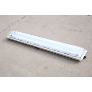 China Corrosion Resistant Explosion Proof Fluorescent Light with Conduit Entries G 3/4 WF2 Ex d e IIC T6 Gb/ DIP A21 TA factory