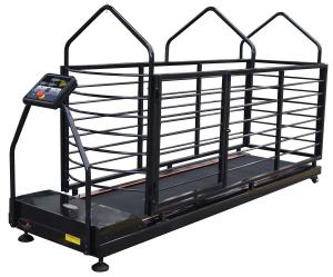 China 200kgs Capacity Dog Runner Treadmill Pet Medical Equipment factory