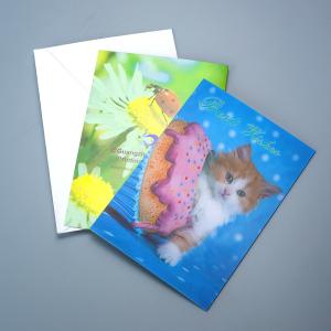 China Factory Hot Sale Custom Kpop 3D Lenticular Printing Postcard/ Business Card factory