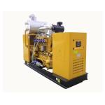 customized high performance Biogas Generator Set Water Cooled For Electricity