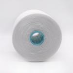 OEM 40/2 20/2 100% Spun Polyester Yarn with Chemical Resistance and 100-500g