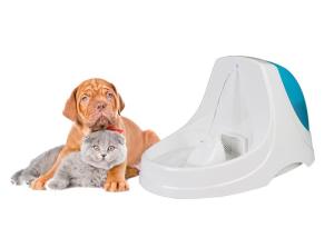China CE RoHS Quiet Pet Water Fountain Environment Friendly Transparent PP factory