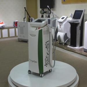 China cryolipolysis cool shaping machine cryotherapy equipment cool shape machine factory