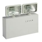 Professional Interior / Exterior Twin Head LED Emergency Lights With Glass