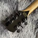 Custom Zakk Wylde Audio in Kinds Color Electric Guitar with Bound Ebony