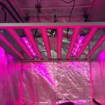 1000W Samsung LM301H LED Plant Grow Light For Commercial Cannabis Growing