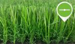 Outdoor Garden Lawn Synthetic Grass Artificial Turf Carpet