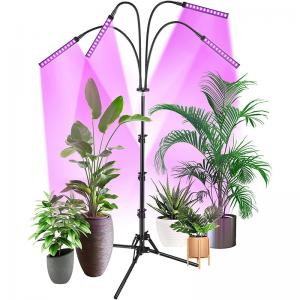 China FCC IP44 RED Blue Floor LED Plant Lamp Floor Grow Lamp For Indoor Plants factory