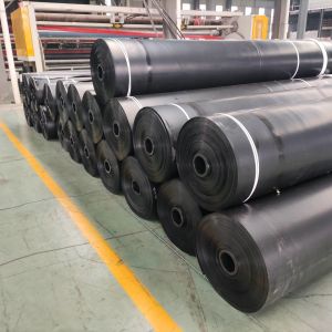 High Density Polyethylene HDPE Geomembrane Thermoplastic Sheet Liner