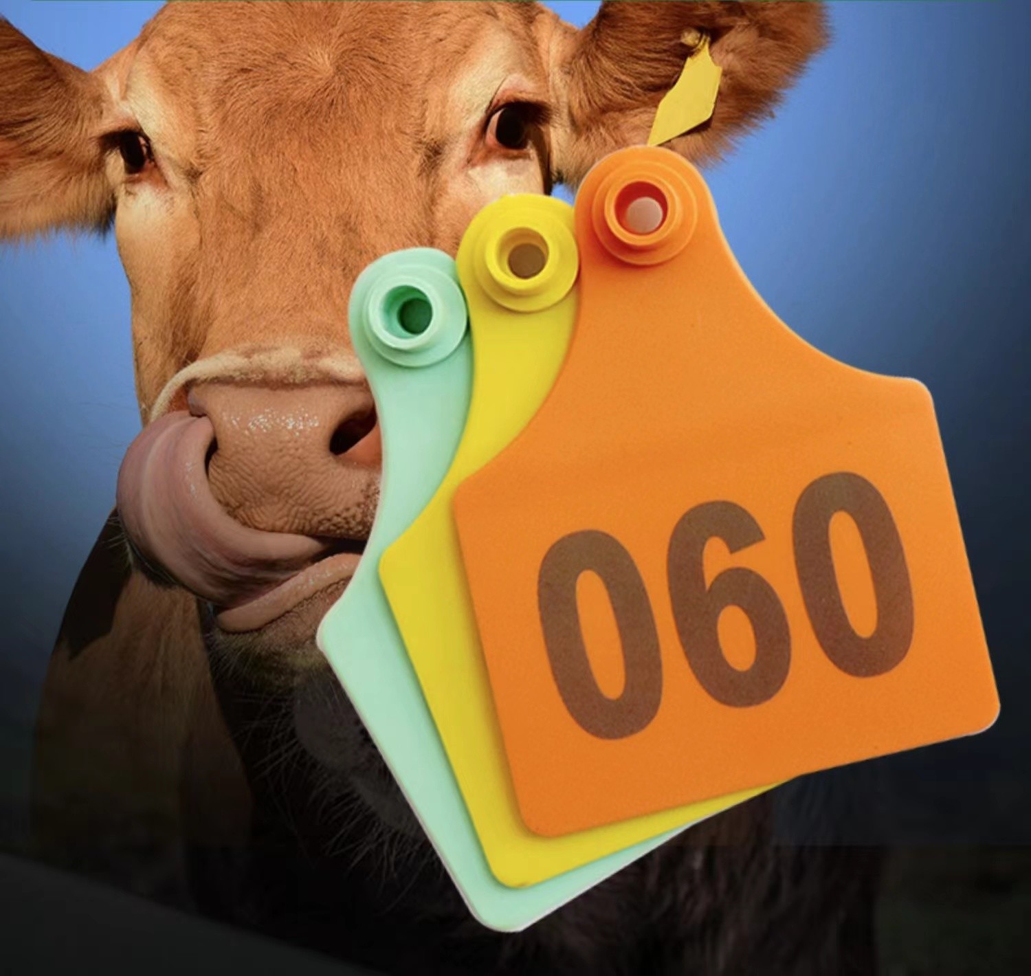 Yaks Horse Livestock ID Tags Custom Printed Cattle Management Tags