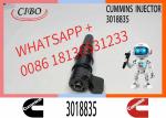 NT855 diesel Engine Injector 3018566 3018223 3018352 3018568 3018816 3018833