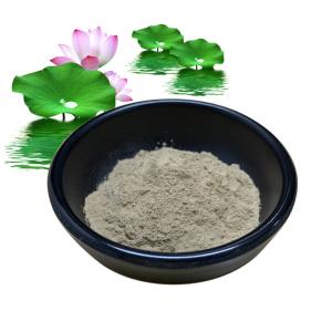 China Lotus Leaf Herbal Extract Powder 10% 50% 98% For Dieting Weight Control factory