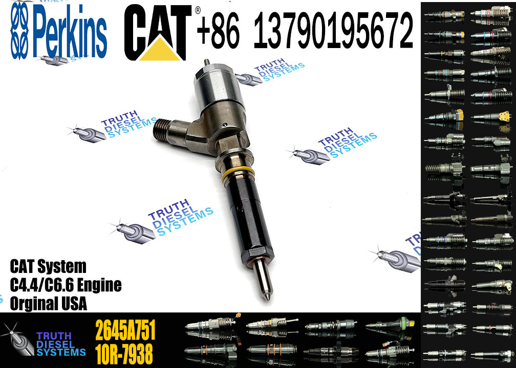 Fuel Injector Assembly 2645A709 295-9130 382-0480 282-0490 292-3780 306-9380 306-9390 310-9067 2645A751