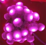 T20 12V LED Christmas Lights Roof Point Light For Outdoor Decoration
